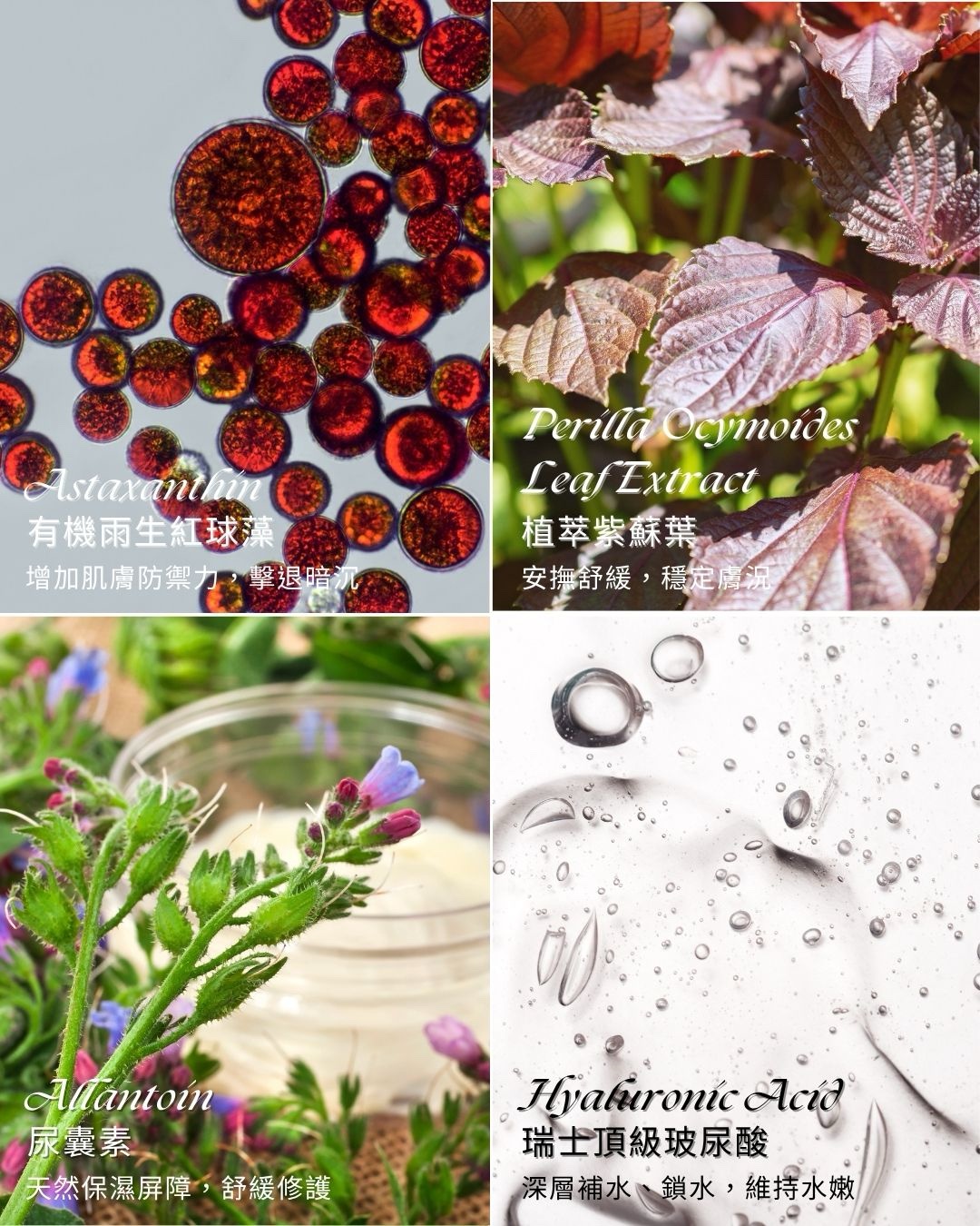 外出旅行組-紅球藻胺基酸洗面慕斯30ml+面膜*2